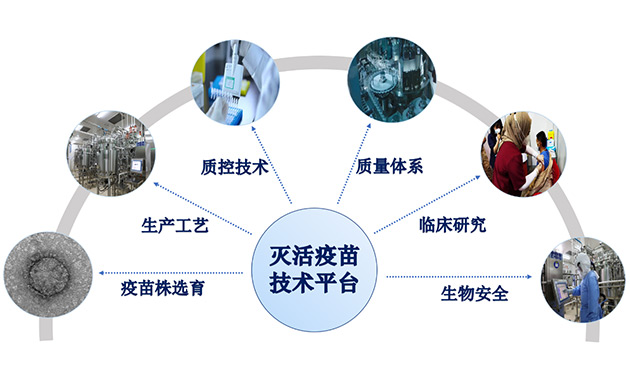 灭活疫苗技术平台